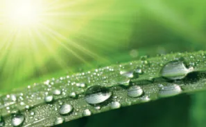 ISP-MC – zdjęcie produktu TECHNOTHERM