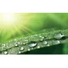 ISP-MC 750 – zdjęcie produktu TECHNOTHERM